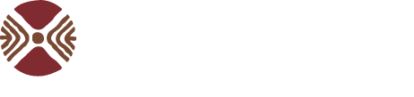 logo cesec footer