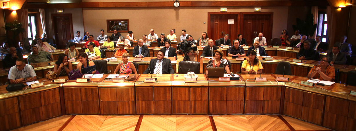 Assemblée plénière du CESEC