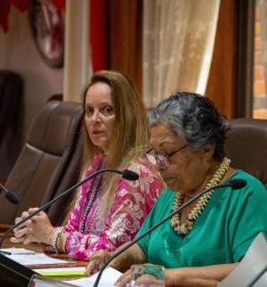 Séance plénière du 11 avril 2024