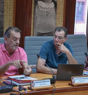 L’emploi en Polynésie française Salariés, patentés, complémentarité ou concurrence ?