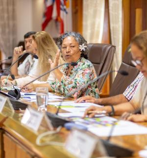 Discours-voltina-presidente-cesec