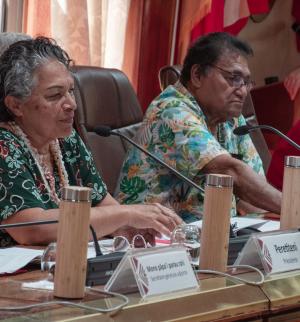 Discours-voltina-presidente-cesec