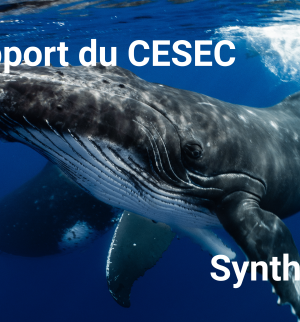 CESEC rapport océan