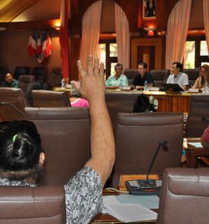 Assemblée plénière 9 octobre.JPG