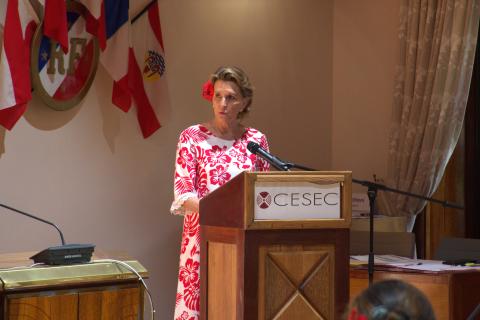 CESEC discours