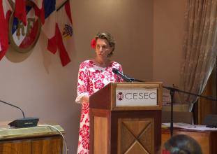 CESEC discours