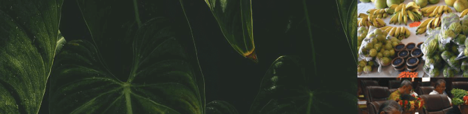 Rapport activité 2019