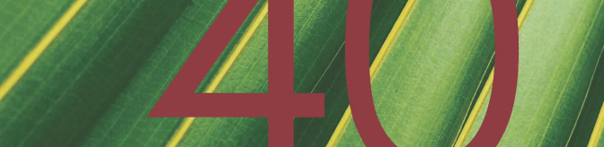 Rapport d'activité 2017