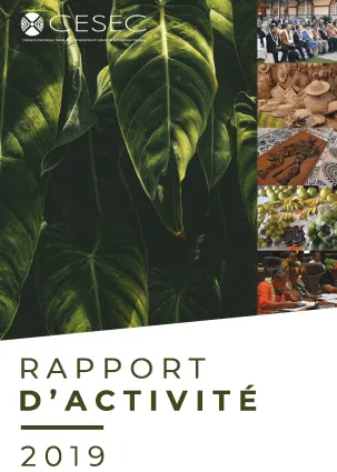 Rapport activité 2019