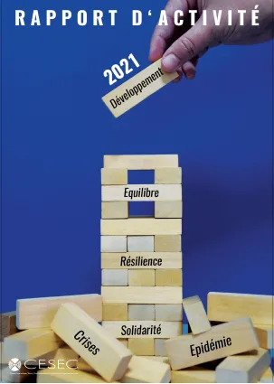 Rapport d'activité 2021