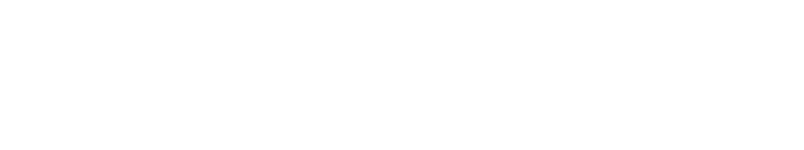 LOGO CESEC WHITE